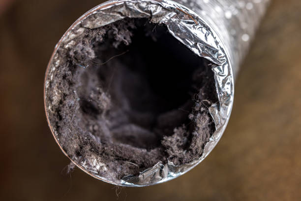 Best Commercial Air Duct Cleaning  in Dover Beaches North, NJ